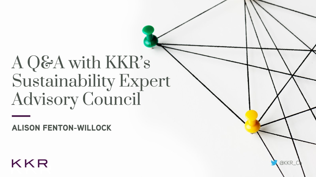 "A Q&A With KKR's Sustainability Expert Advisory Council"