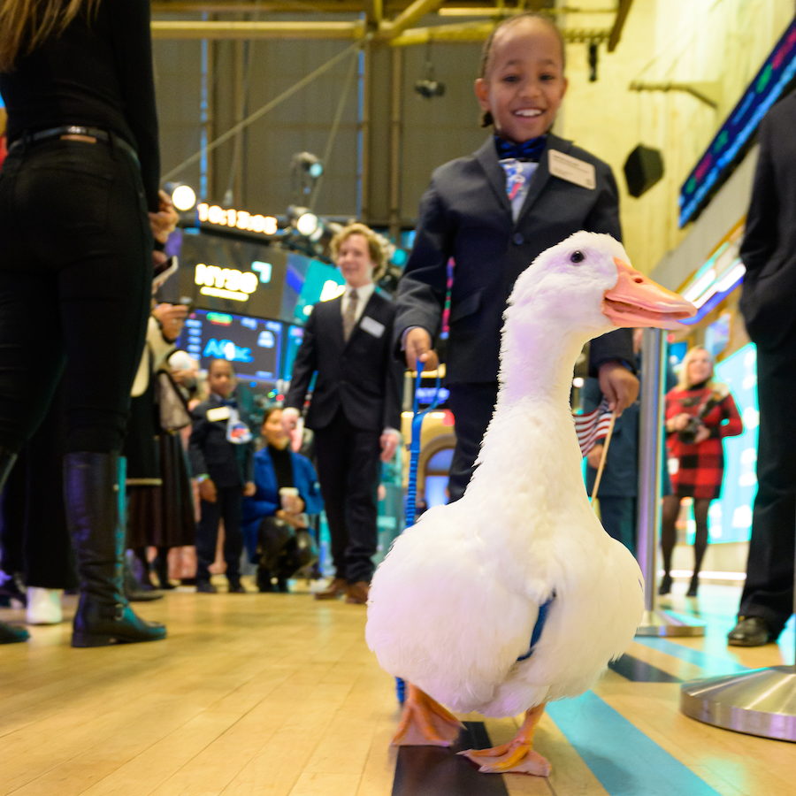 Little boy on the trading floor of the NYSE with the Aflac duck.