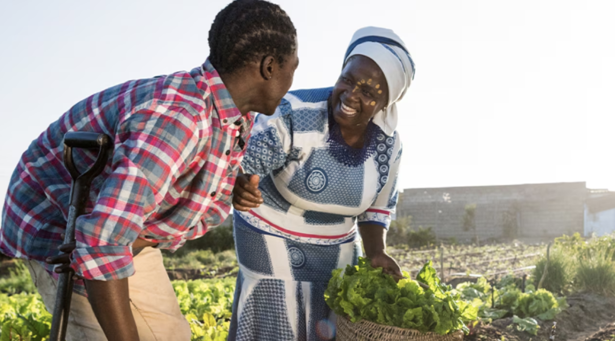 African farmers in the field