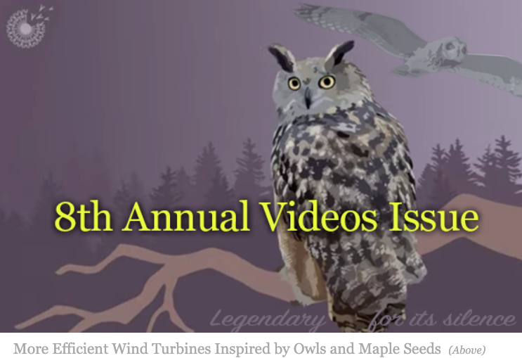 GreenMoney's 8th Annual Videos issue