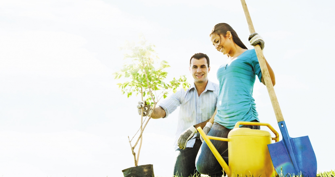 two people planting a tree