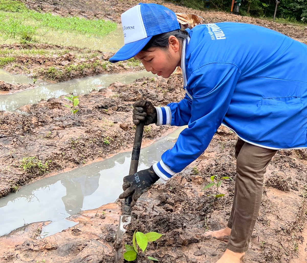 planting a tree