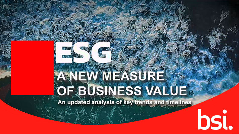 ESG A New Measure of Business Value with the BSI logo