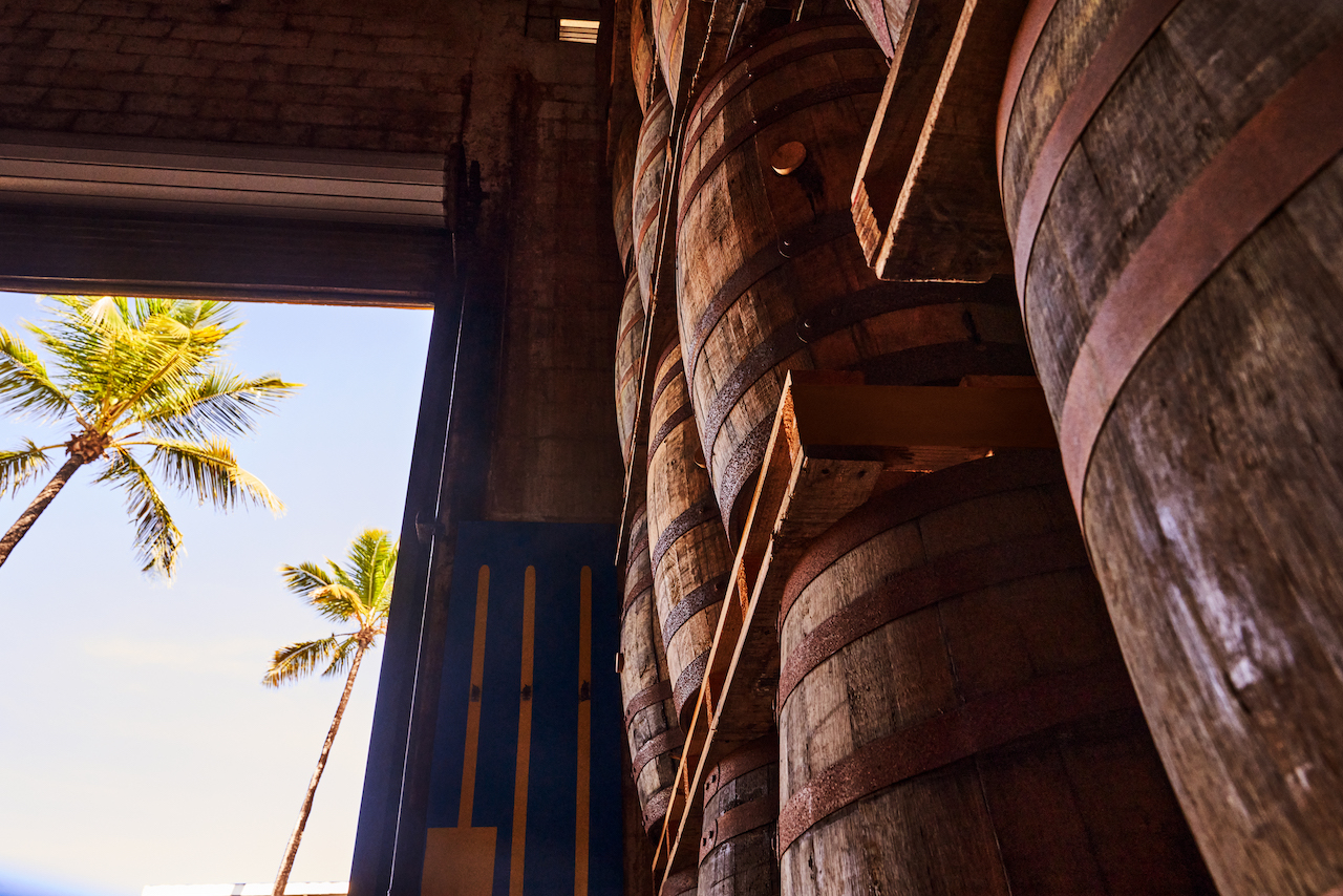 Bacardi rum barrels