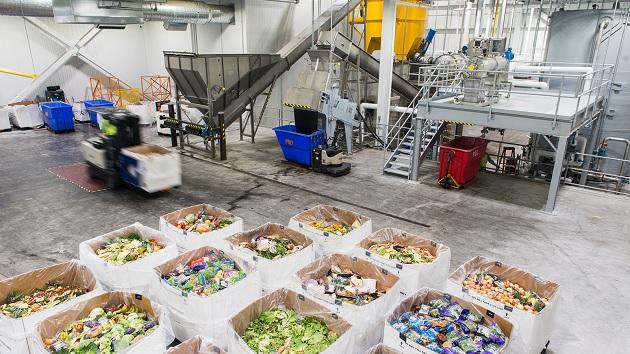 Food waste sorted into boxes