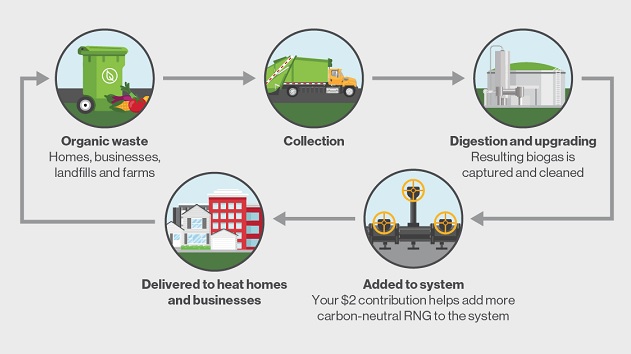 waste recycling system