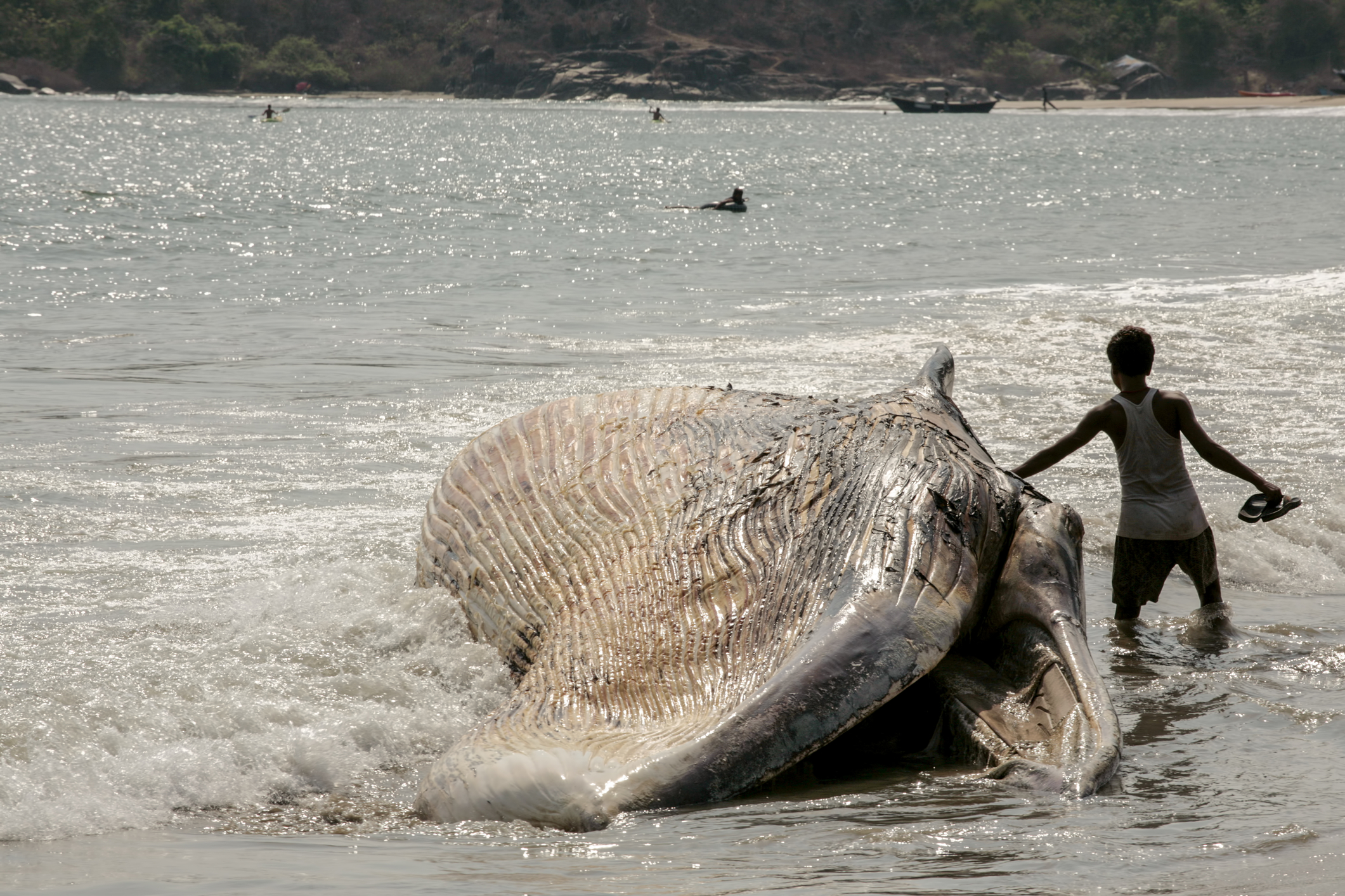 Beached Whale and teen