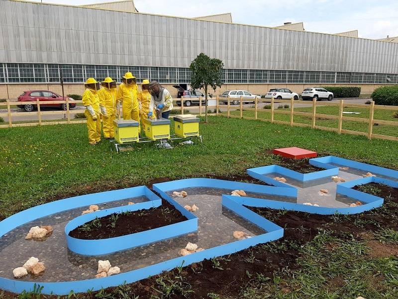 A group of people wearing beekeeping suits, stood behind some bee hives.