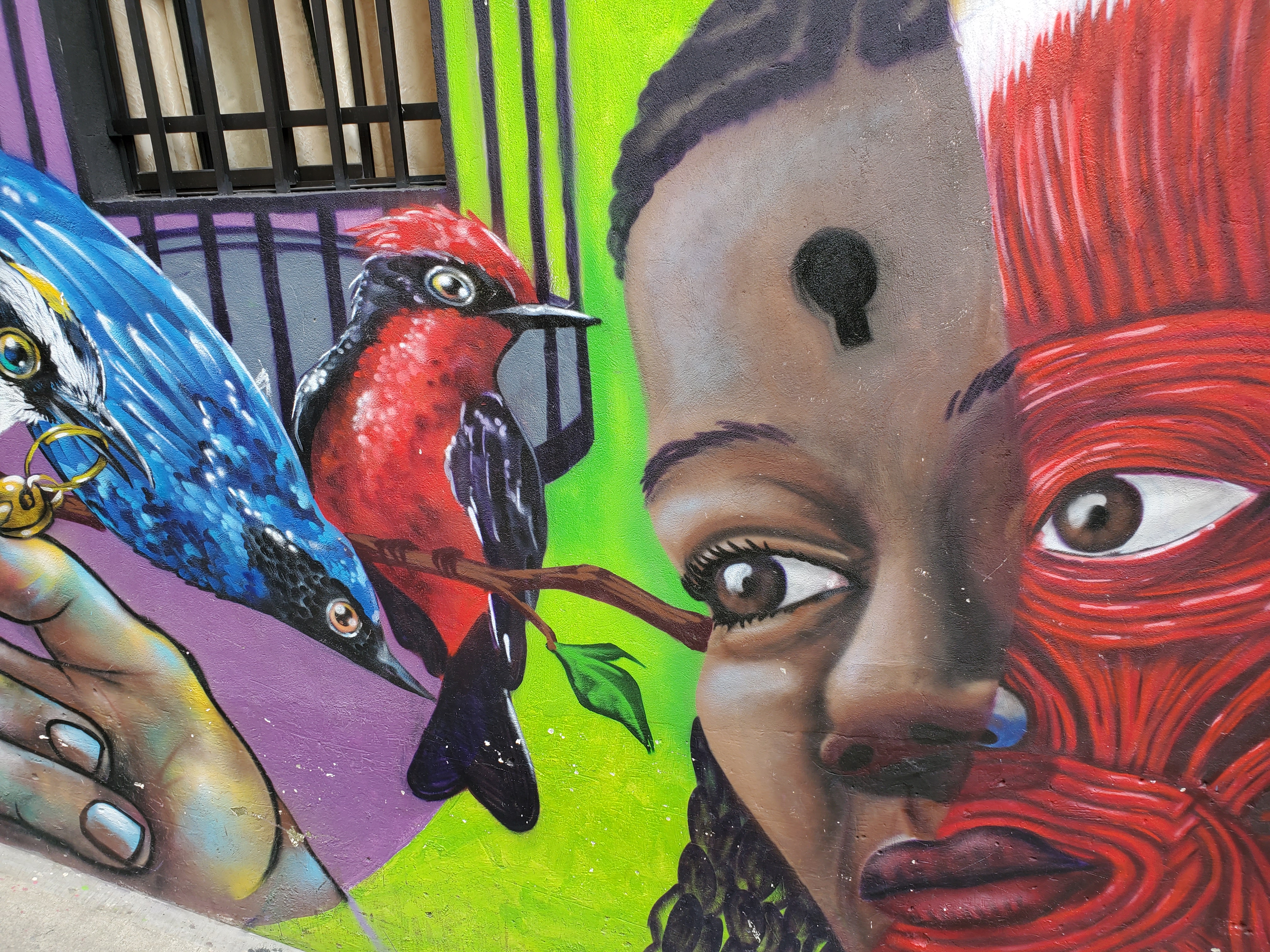Birds, a symbol of peace, are a common sight along murals