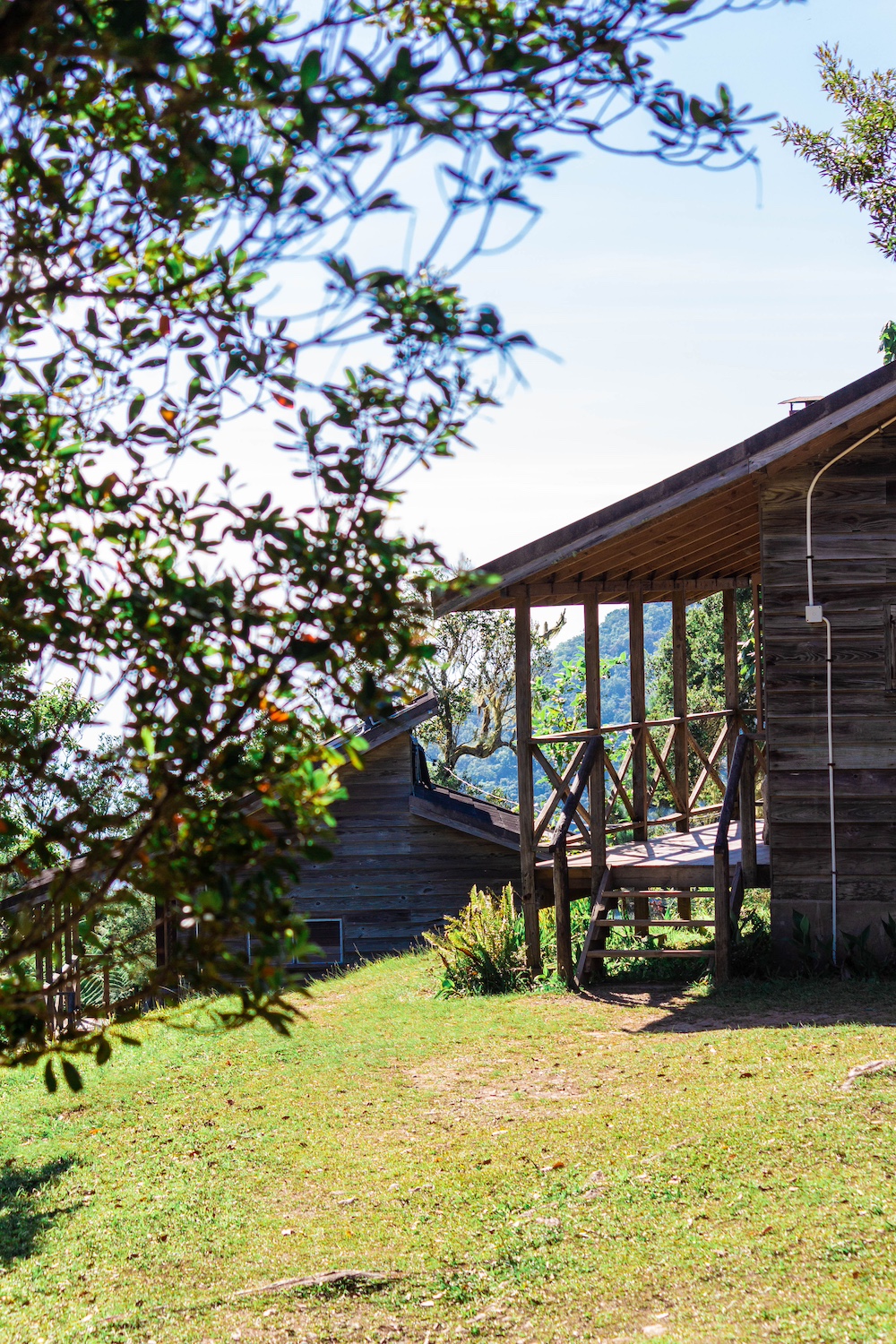 Cabins in Jamaica's Blue and John Crow Mountains National Park. 