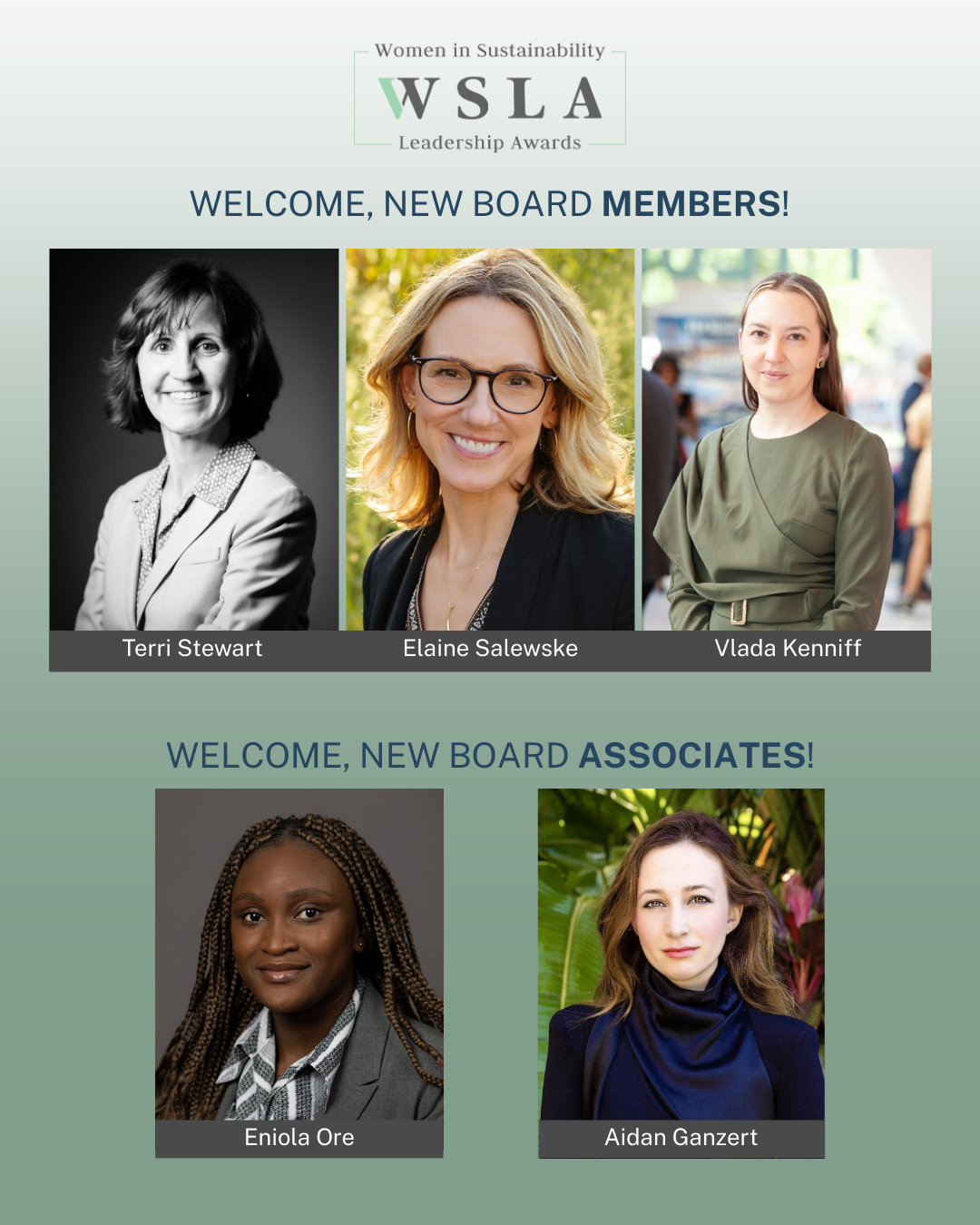 headshots of the new WSLA board members