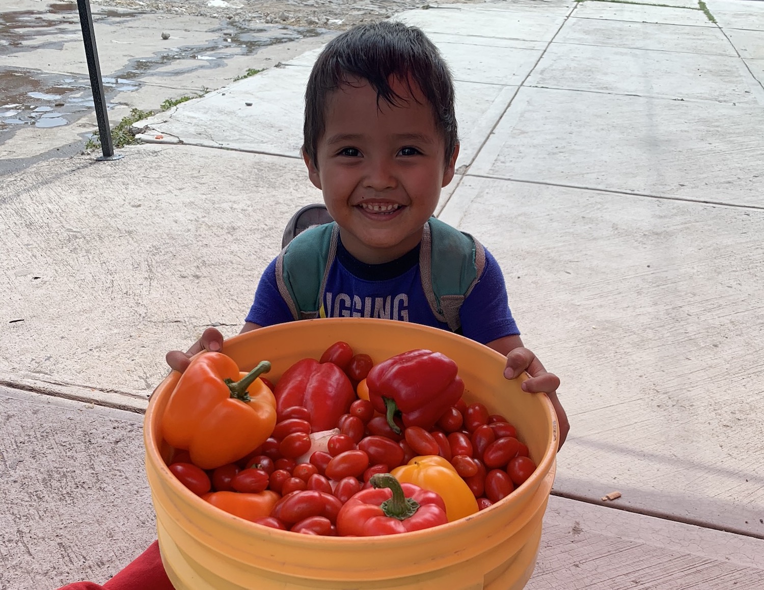 Boy with Bucket of Produce - BAMX food bank network is fighting food insecurity in Mexico