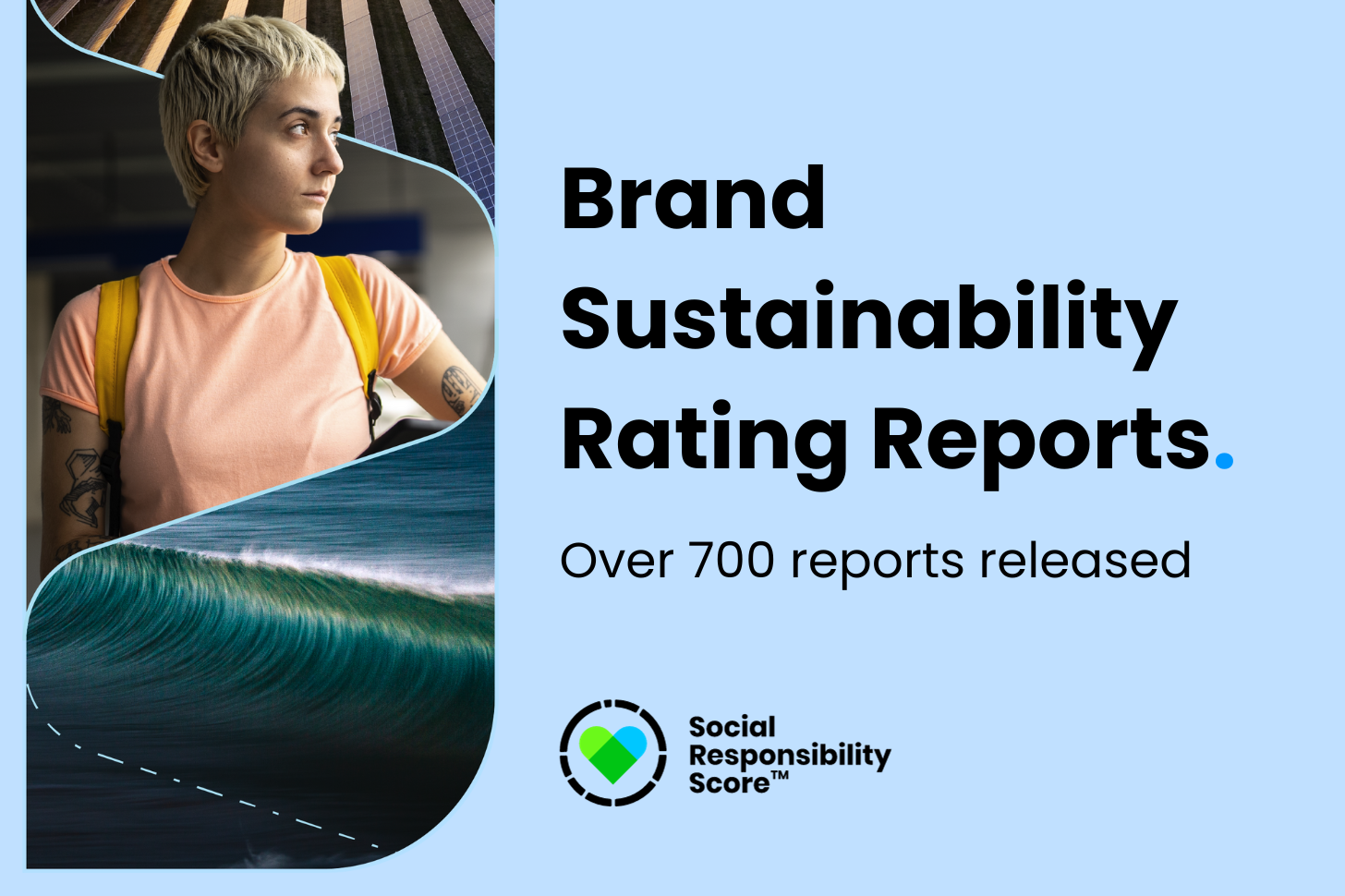 "Brand Sustainability Rating Reports." Cover