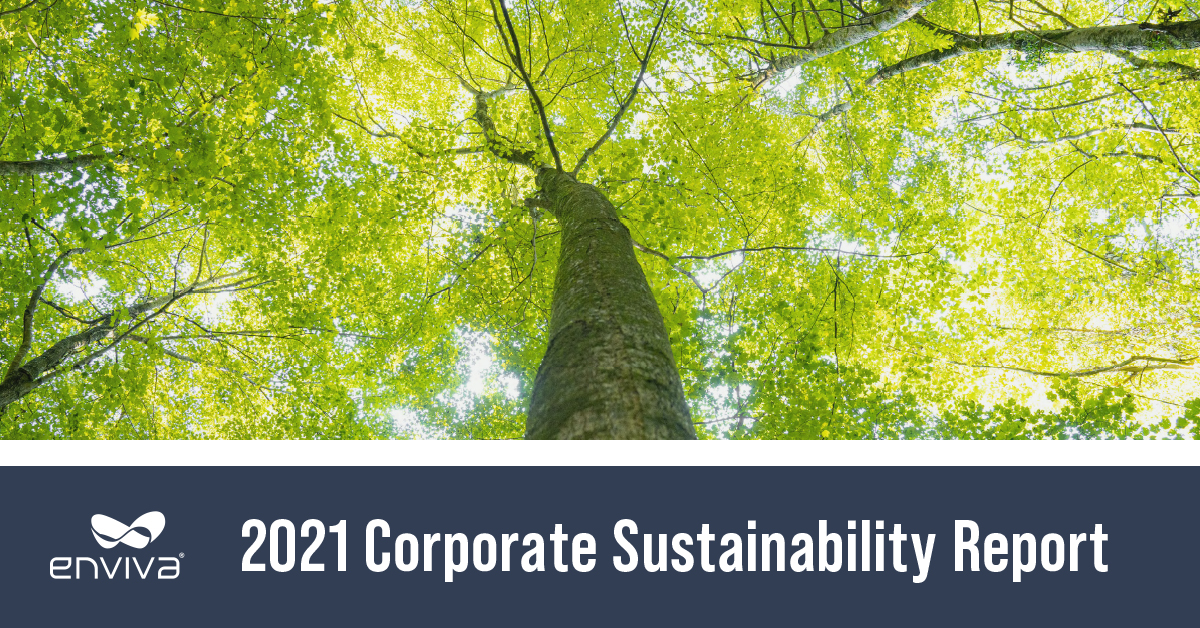 2021 Corporate Sustainability Report Cover with image looking up through a tree