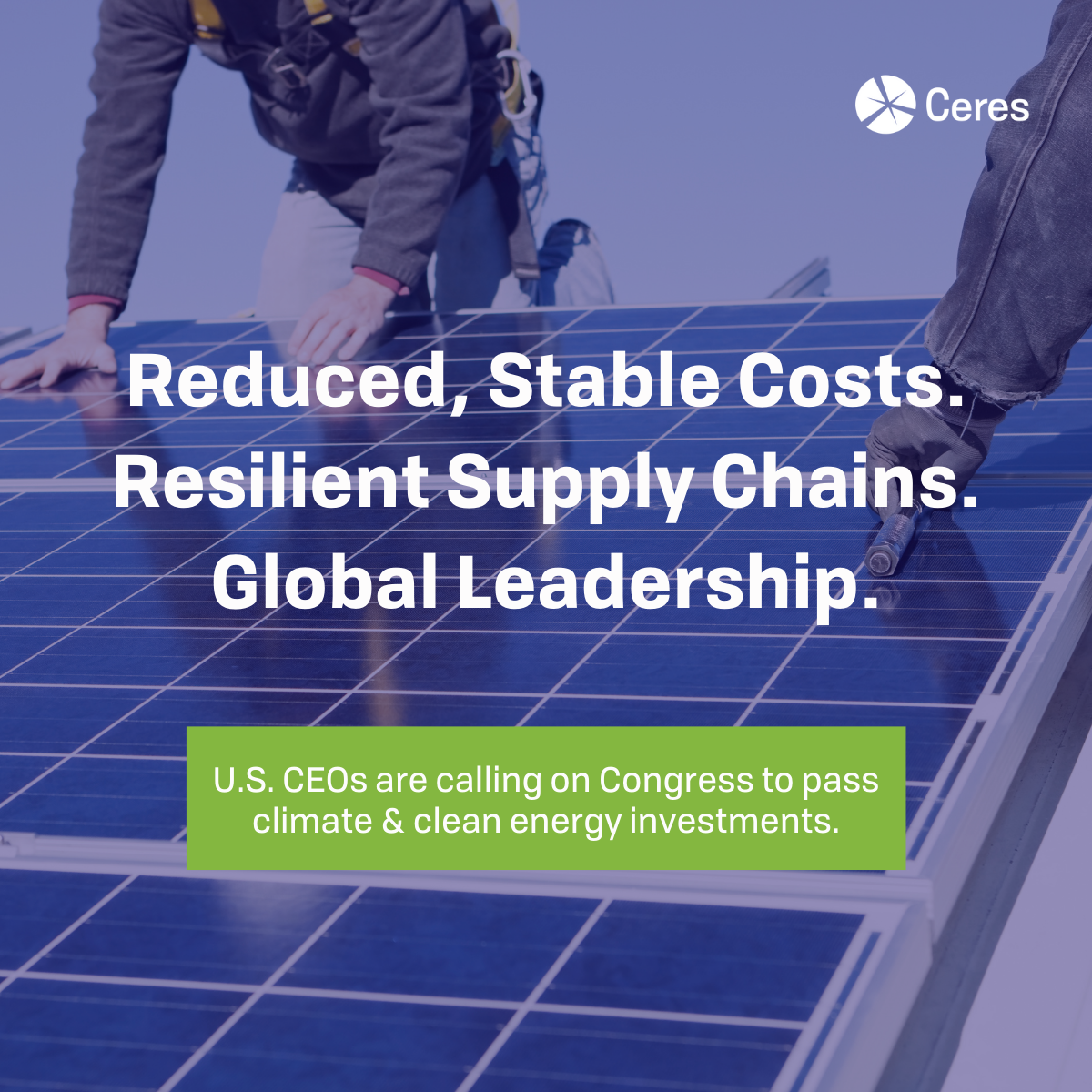 "Reduced, Stable Costs. Resilient Supply Chains. Global Leadership" 