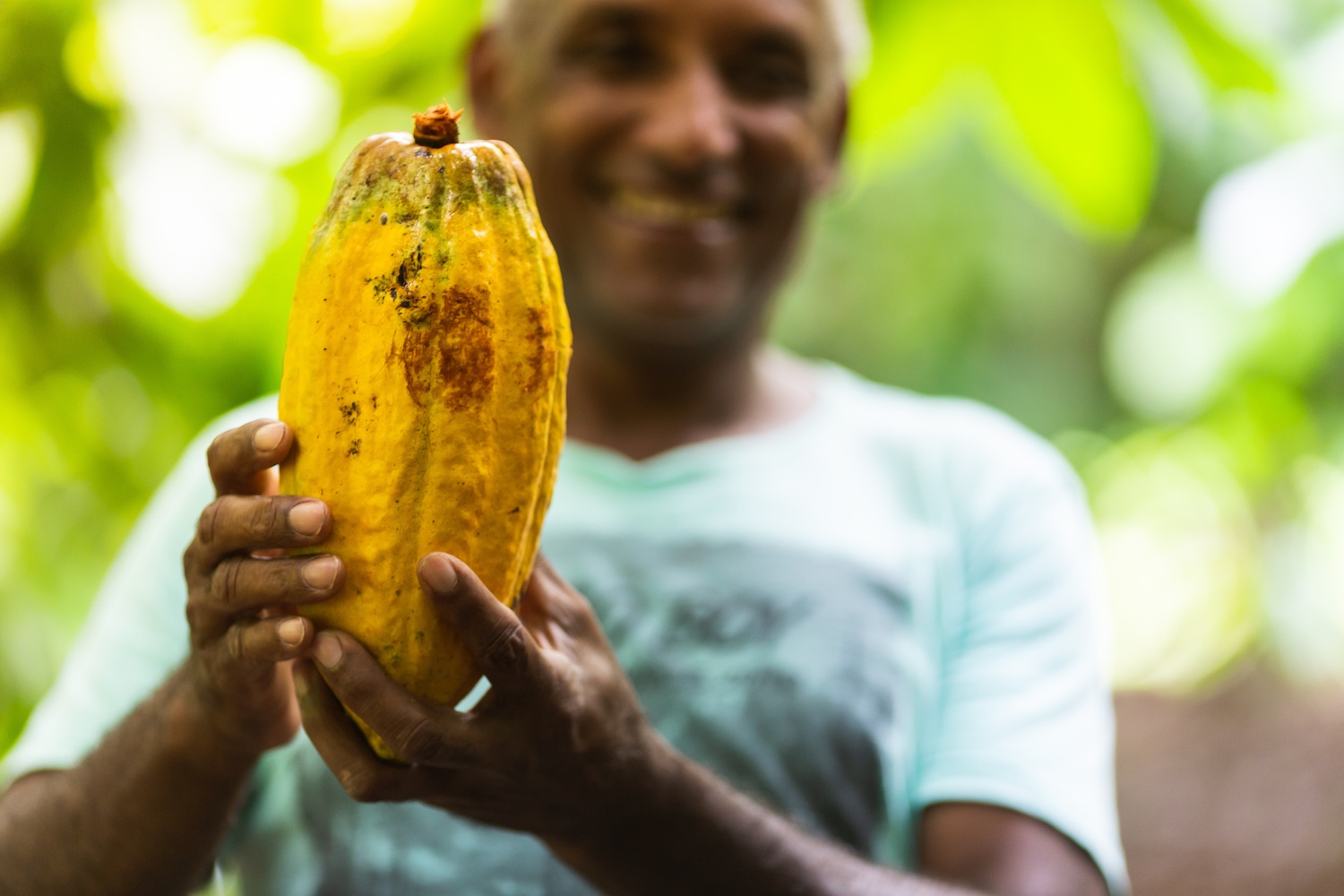Cocoa Life - cocoa farmer holds cacao in Brazil - sustainable cocoa ESG communications