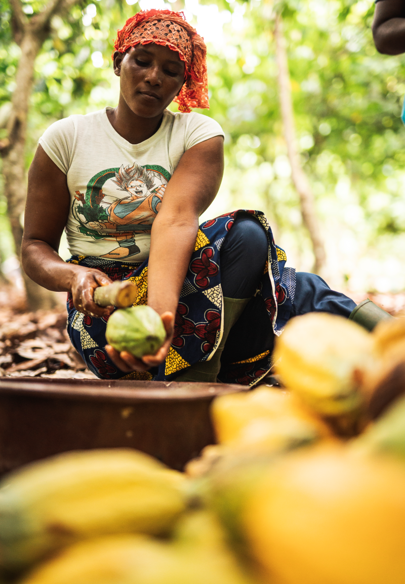 Cocoa Farmer