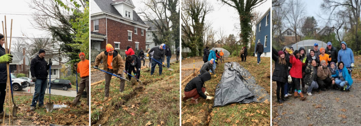 employees planting trees