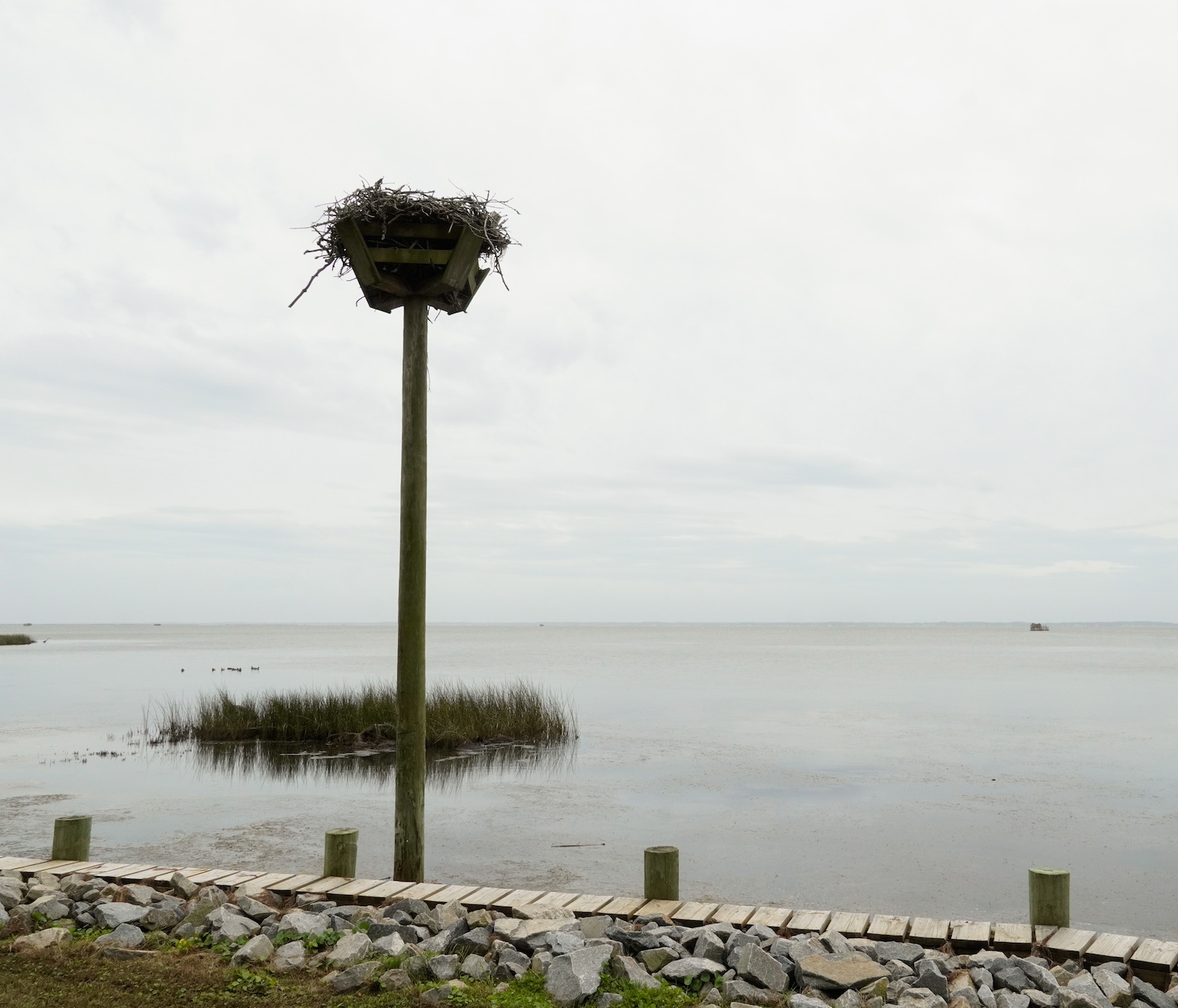 A human-made osprey nest on the western side of Corolla Light Resort.