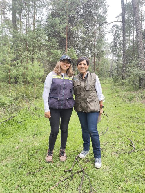 2 people in the woods