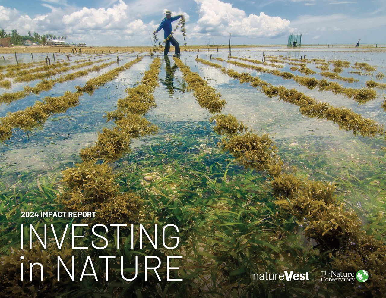 Cover image for TNC NatureVest 2024 Impact Report