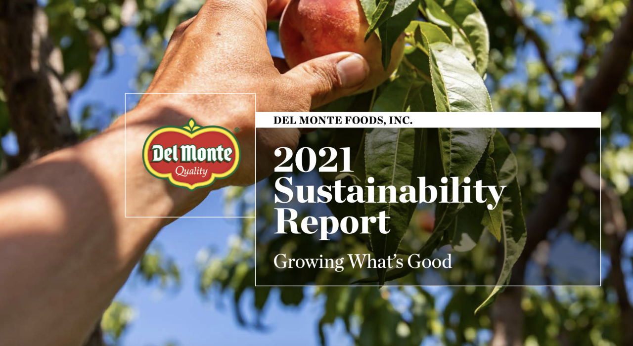 Del Monte Sustainability report. Hand picking a peach.