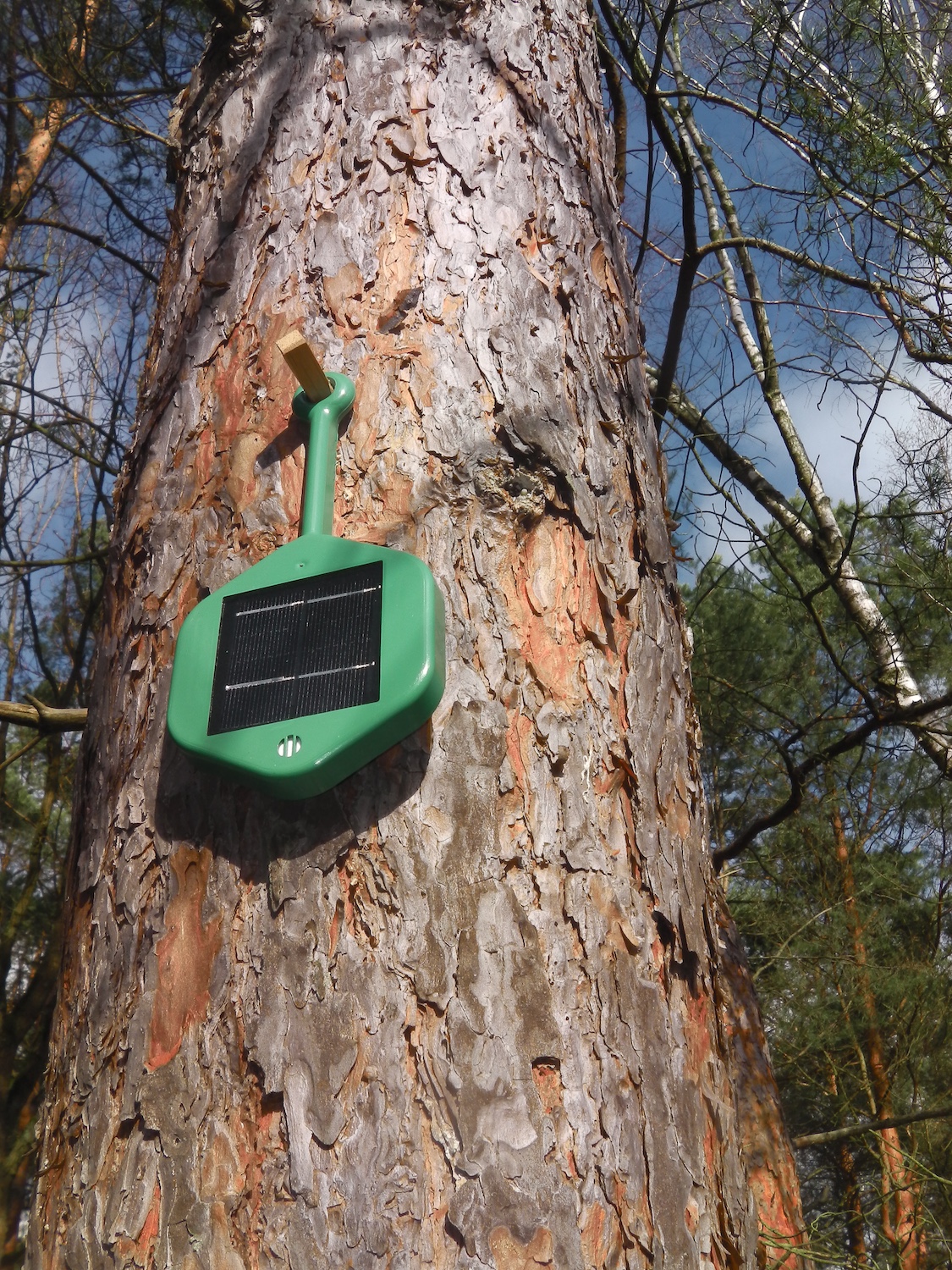 Dryad Networks' solar-powered sensor that detects wildfires attached to the trunk of a tree.