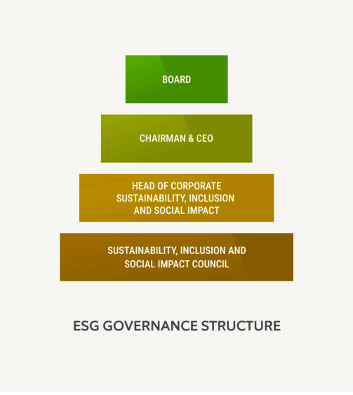 Governing structure chart