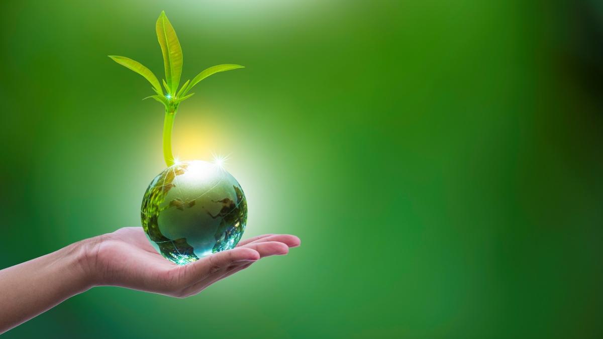 hand holding globe with plant growing out of it