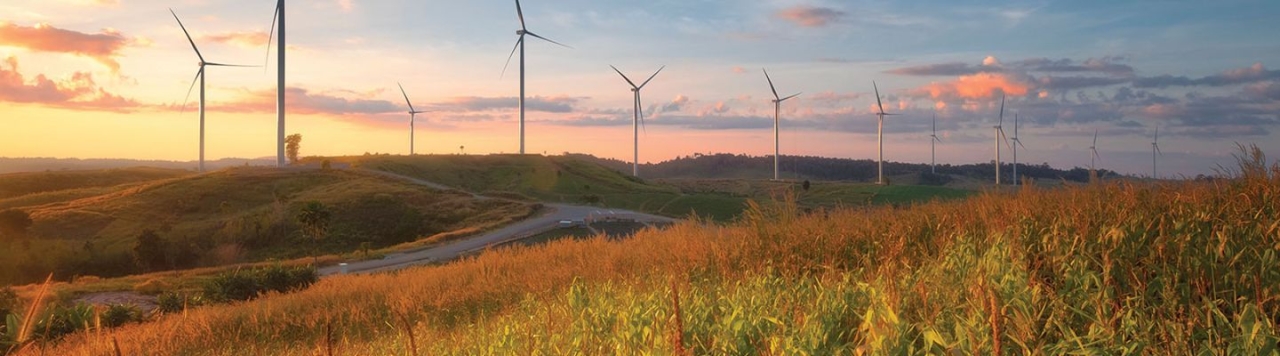 wind turbines at sunset