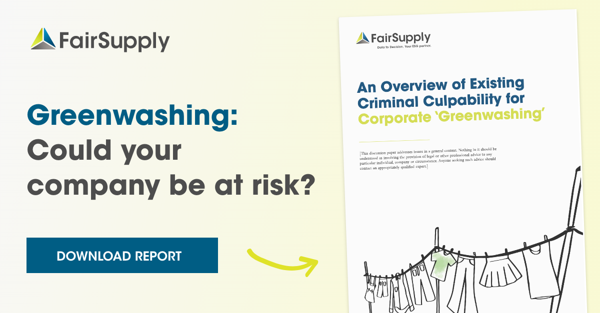  Report cover and the words, "Greenwashing: Could your company be at risk?"