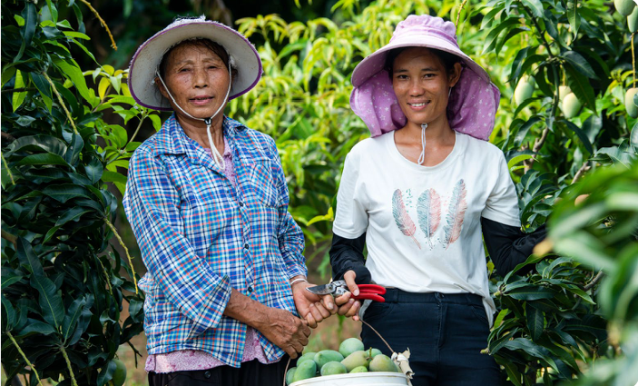 two farmers standing in a group of tall greenery, holding a basket of produce