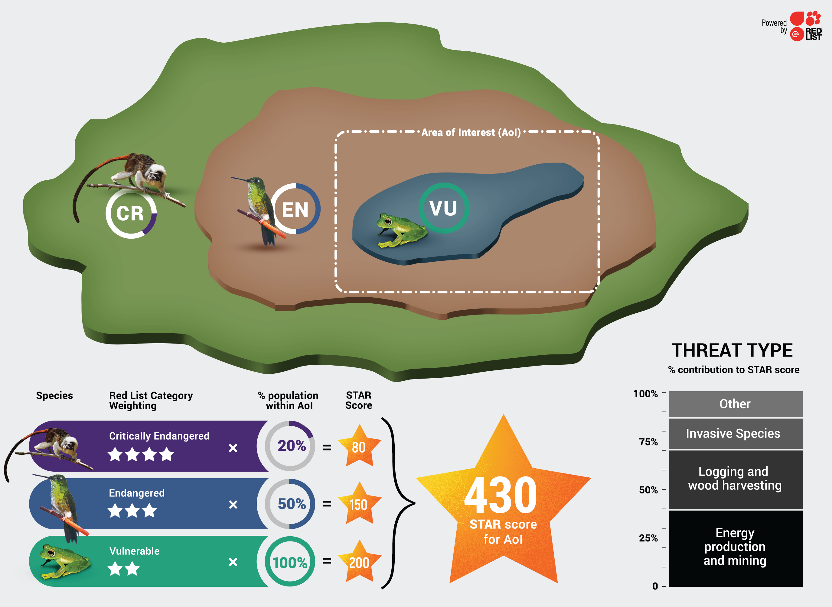 STAR Infographic  for scores