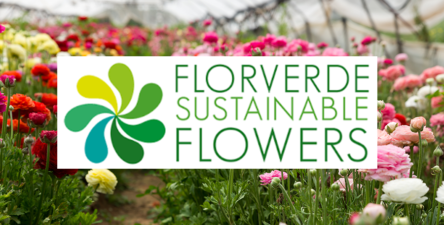 A photo of different coloured flowers with a white box and green text that reads "Florverde Sustainable Flowers"