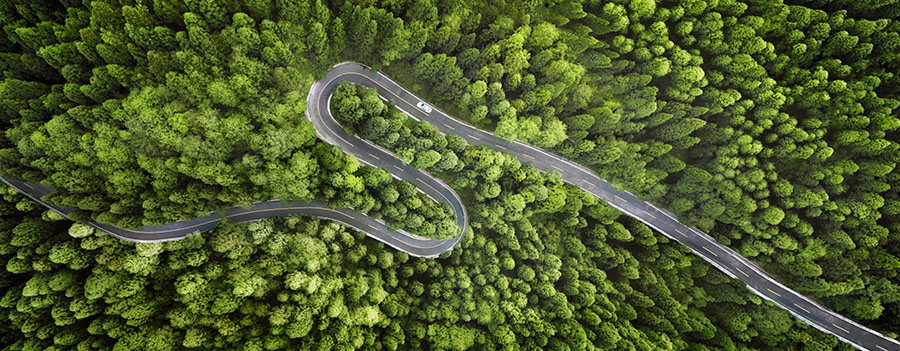 road through the forest as seen from above