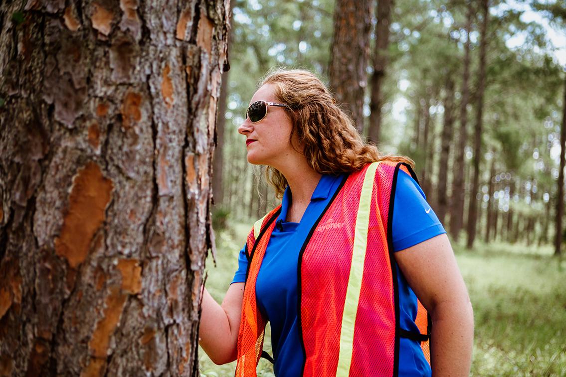 A person in high-vis vest inspects a tree.