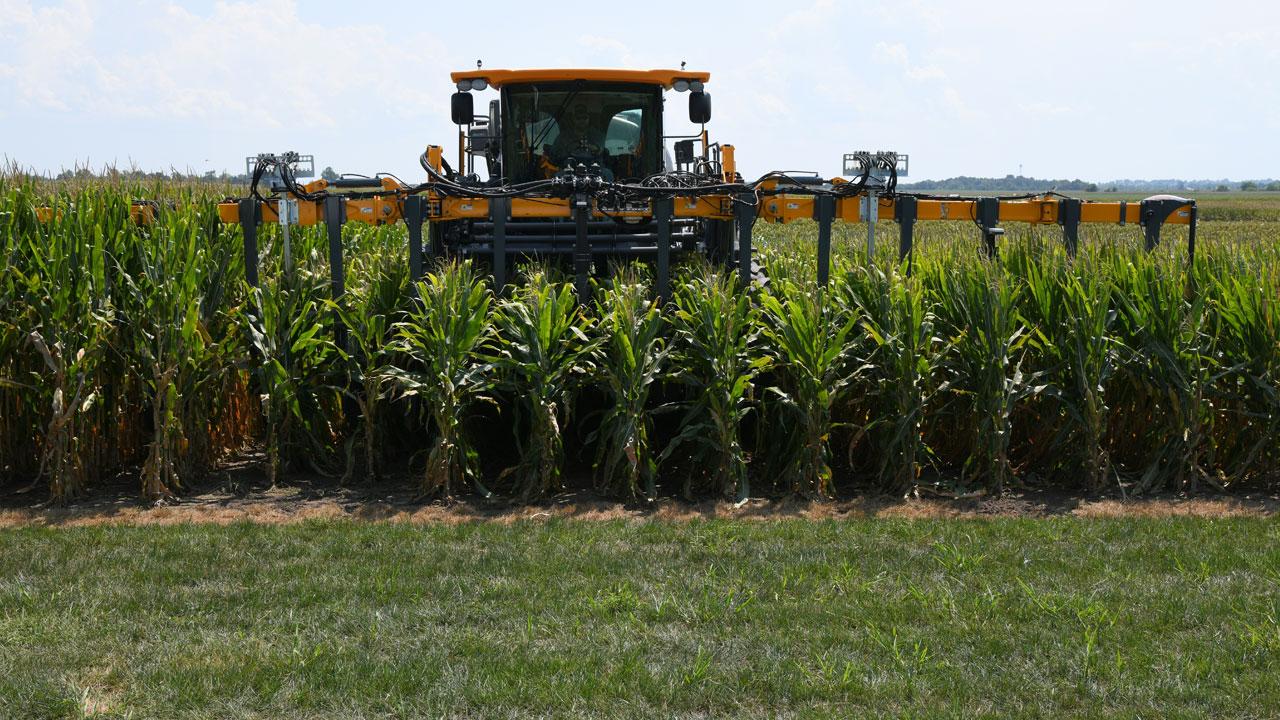 Tractor in a cornfield