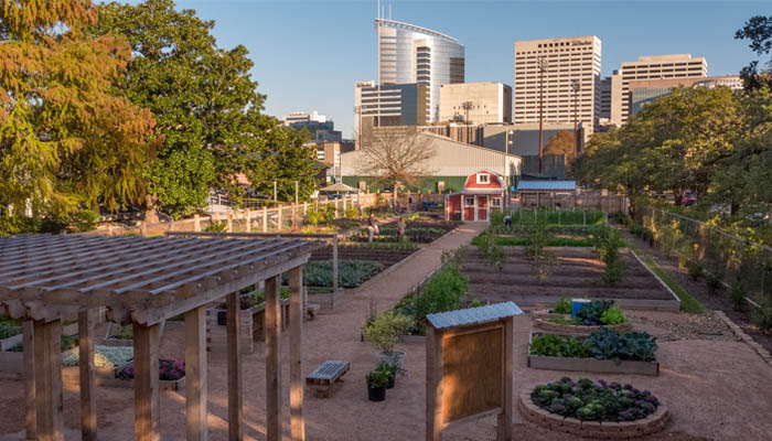 garden at Rice University