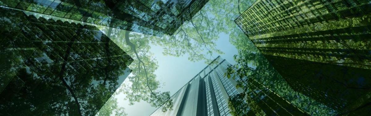 Tall glass multi storey building reflecting trees