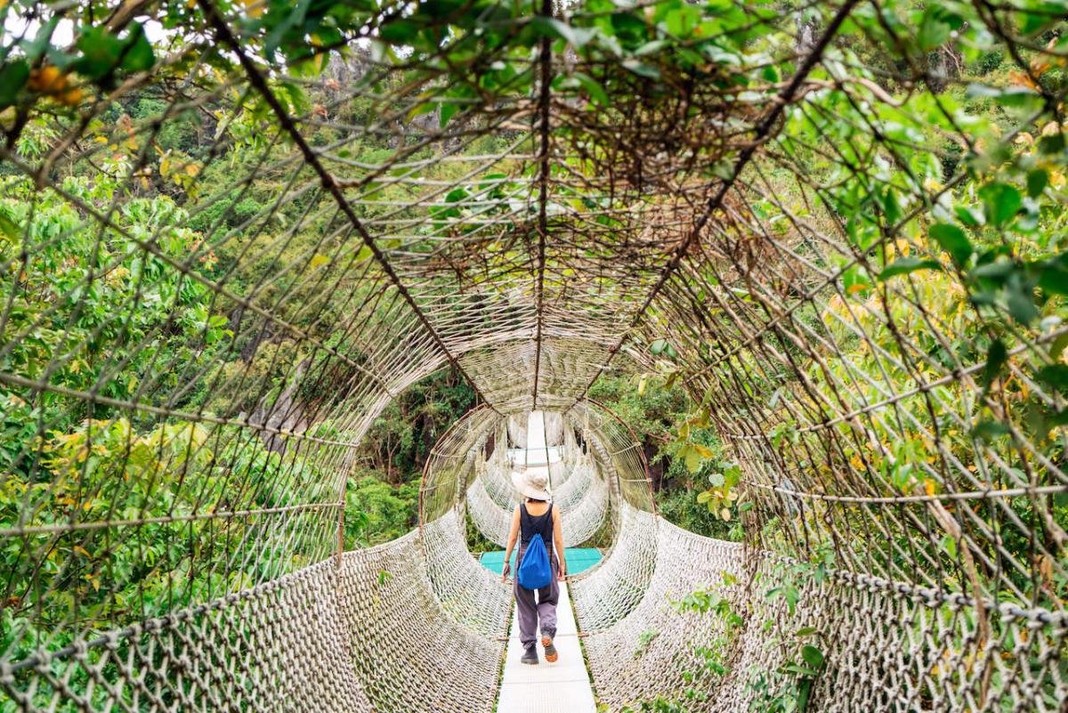 Woman crossing a bridge with a canopy of foliage around her.