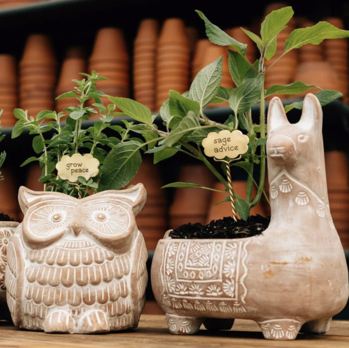 Handmade planters from Ten Thousand Villages — sustainable holiday gifts