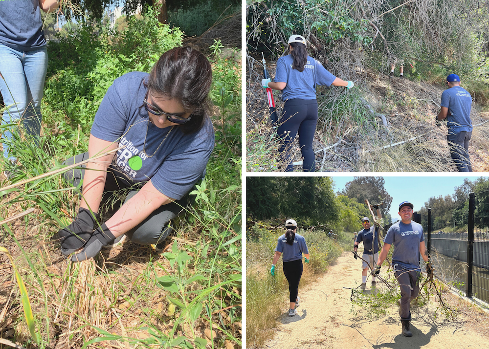 employee volunteers gardening and doing outdoor cleanup