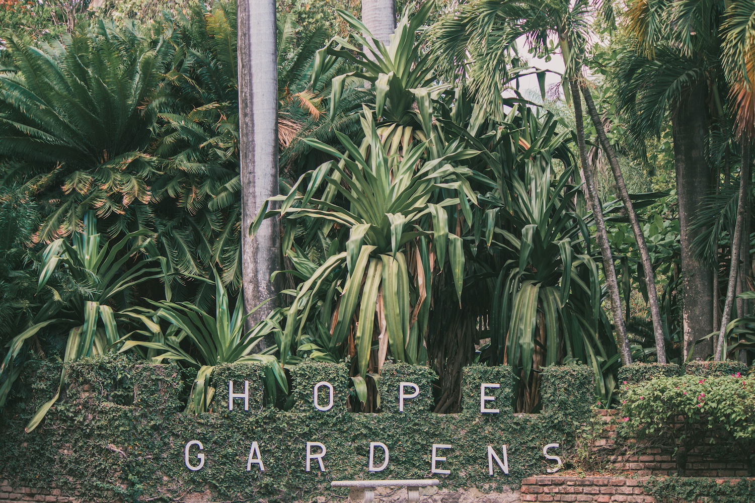 The entrance to the Hope Botanical Gardens in Kingston, Jamaica. 