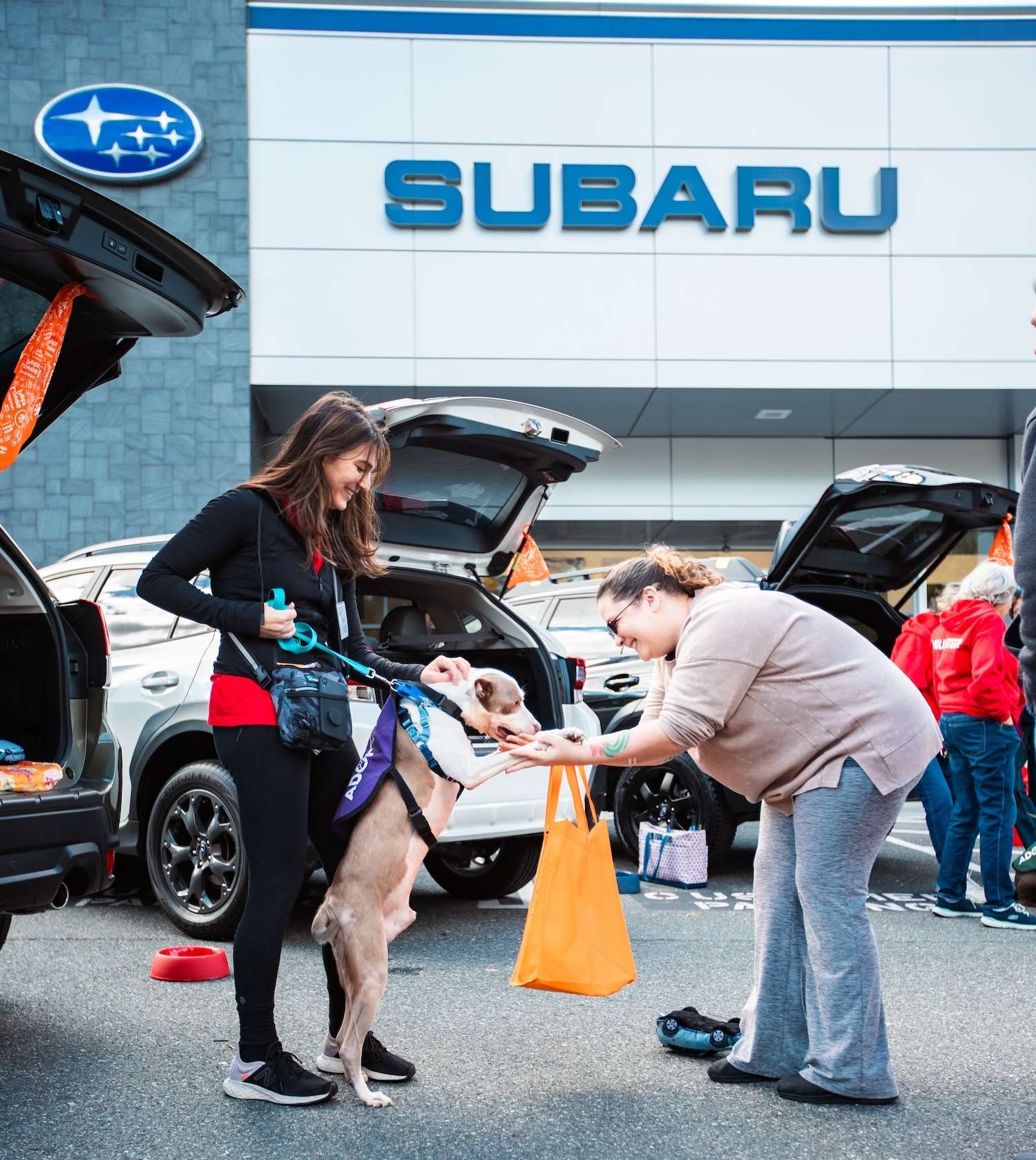 Subaru Loves Pets — pet adoption event at Subaru retailer 