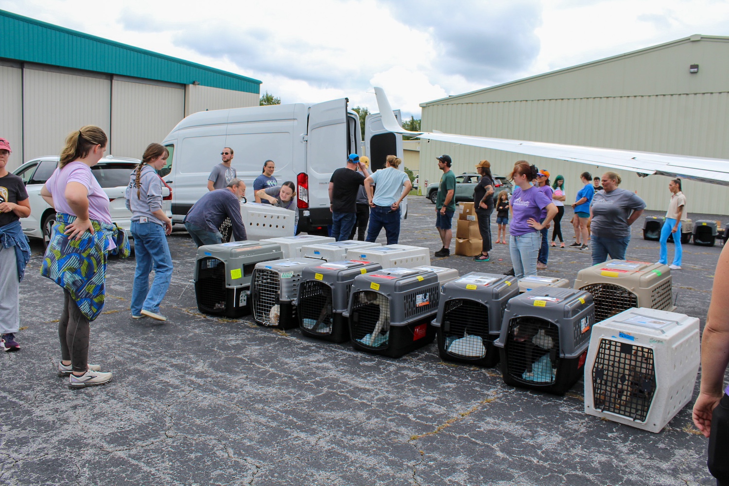 The Asheville Humane Society team moving pets to the shelter after Hurricane Helene.