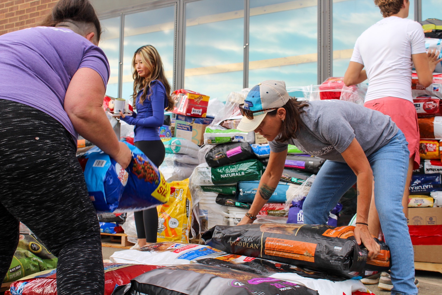 The Asheville Humane Society team moving dog food bags that were donated after Hurricane Helene. 