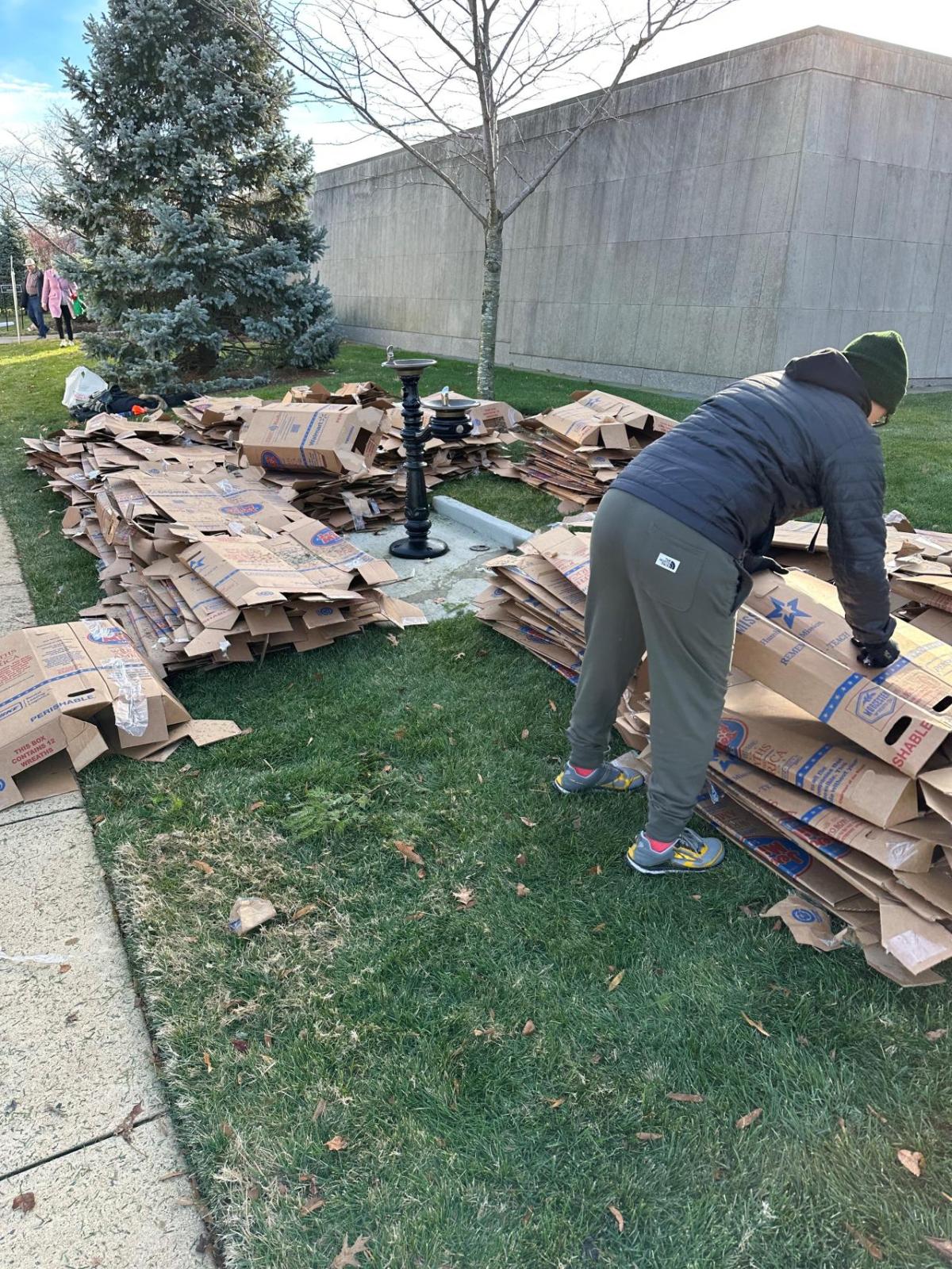 collapsed boxes