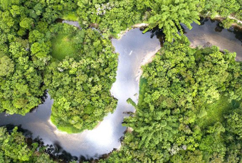 Aerial view of a river winding through a lush forest.