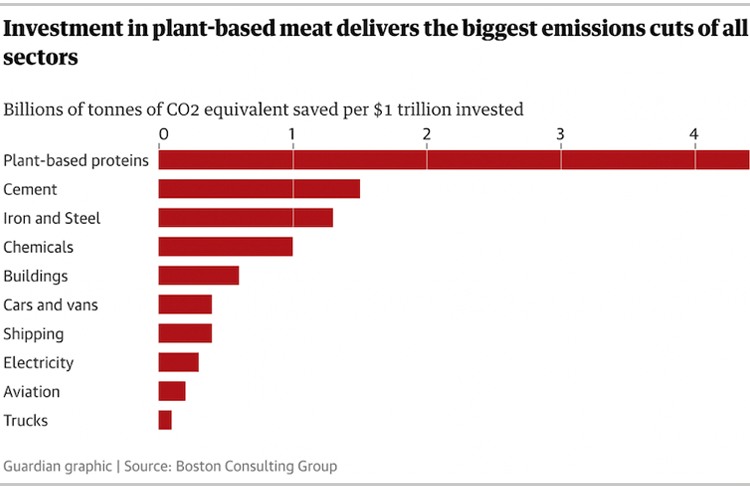 Investment in Plant-based Proteins