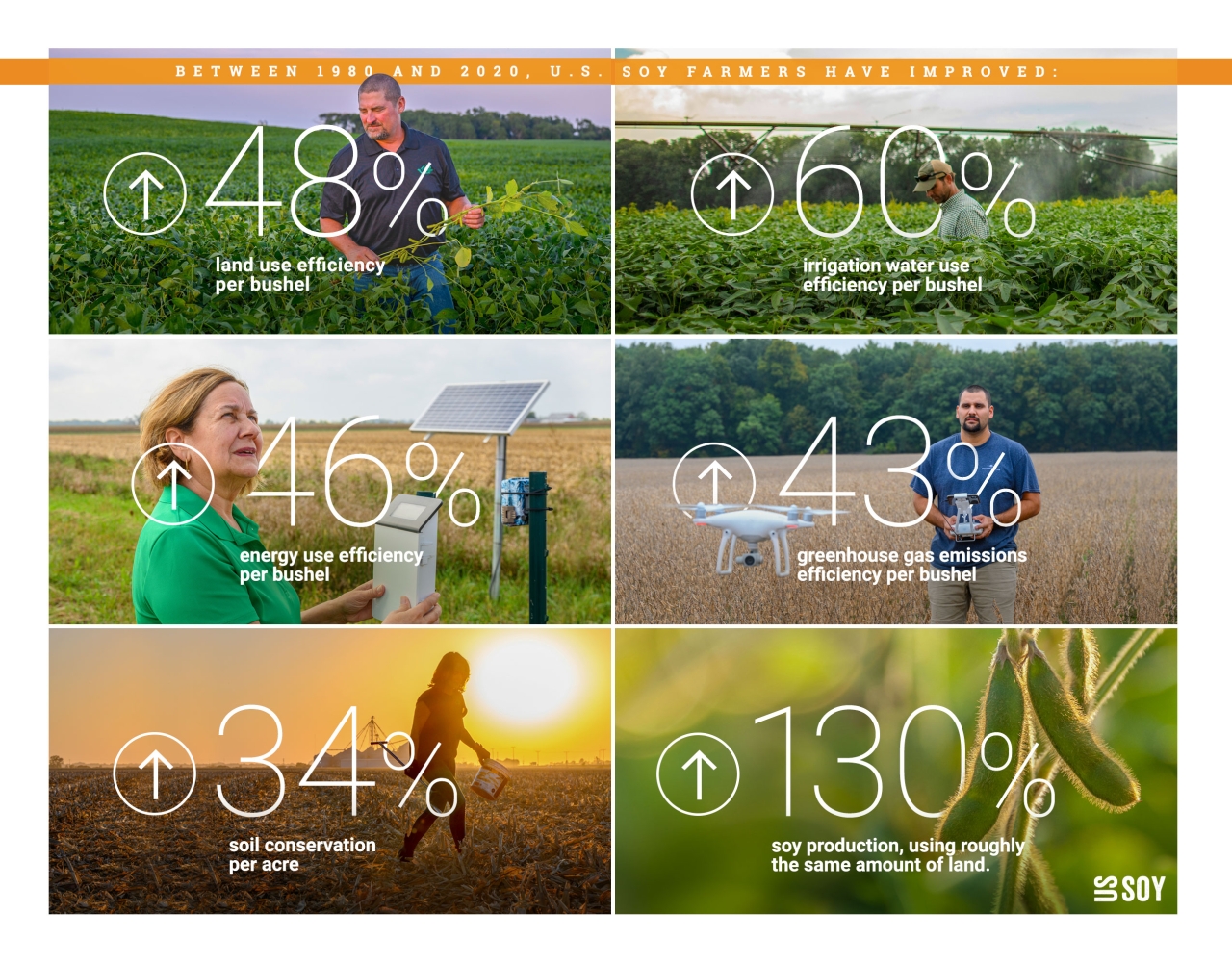 Infographic with people in fields